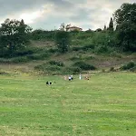 Hébergement de vacances L'atelier, Confort, Bain à Remous Et Nature Parisot (Tarn-et-Garonne)