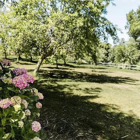 L'atelier, Confort, Bain Nordique Et Nature Nyaraló *